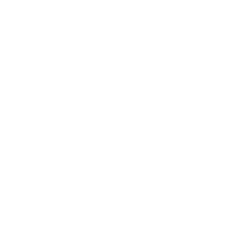 Partner 1