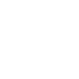 Partner 4